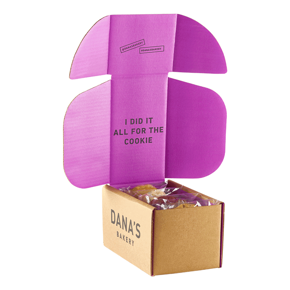 Dairy Free & Vegan Chocolate Chip Cookie Box of 5 and 10